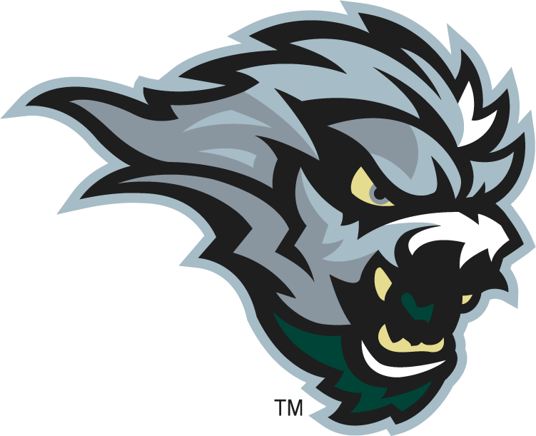 Green Bay Blizzard 2010-2014 Secondary Logo iron on transfers for clothing